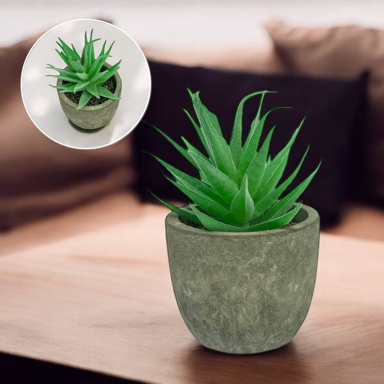 Штучний міні-сукулент в горщику (Aloe verа)