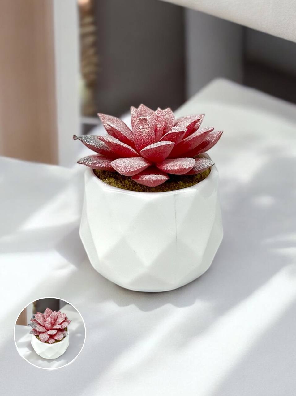 Штучний міні-сукулент в горщику (Lotus)